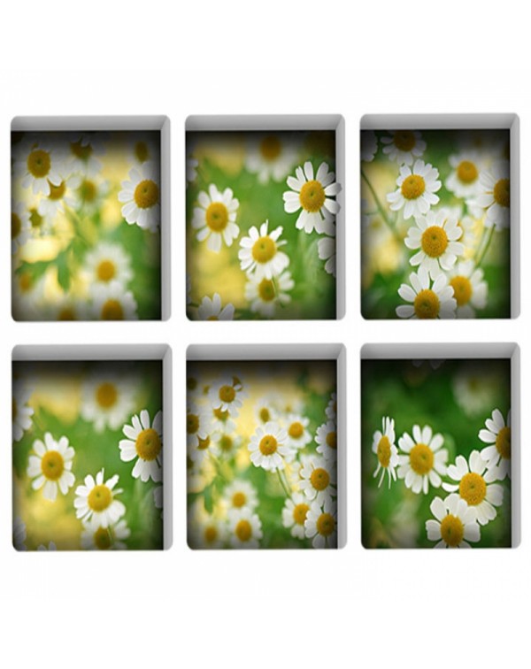 6pcs 13*13CM DIY 3D Anti Slip Waterproof Bathtub Sticker Removable Mural - Luminous Daisy